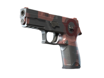 P250 | Constructivist