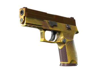 P250 | Sedimentary